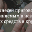 В Апатитах вынесен приговор двум местным жителям, обвиняемым в незаконном обороте наркотических средств в крупном размере - Администрация г. Апатиты