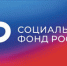С начала 2024 года Отделение СФР по Мурманской области проактивно оформило более 2,5 тысяч СНИЛС новорожденным - Администрация г. Апатиты