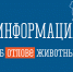 Информация об отлове собак без владельцев - Администрация г. Апатиты
