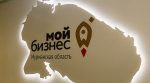 Более 370 млн рублей заемных средств привлек малый бизнес под поручительства ФОРМАП