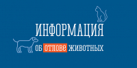 Информация об отлове собак без владельцев - Администрация г. Апатиты