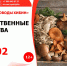 Лекарственные свойства грибов - ЦБС г. Апатиты