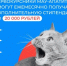 Дополнительные стипендии для абитуриентов, успешно сдавших ЕГЭ! - Филиал МАГУ