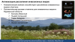 А роза упала на лапу Азора. Директор Полярно-альпийского ботанического сада-института – о растительных угрозах и борьбе с ними