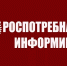 Роспотребнадзор запускает горячую линию по вопросам оказания транспортных услуг - Администрация г. Апатиты