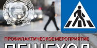 Профилактическое мероприятие «Пешеход» - Управление образования