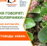 Растения говорят: "Мы - полярники" - ЦБС г. Апатиты